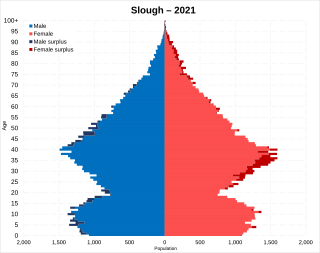 <span class="mw-page-title-main">Demography of Slough</span>