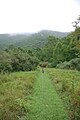 English: Trails near Big Bend Campground in Smoke Hole Canion, West Virginia.