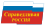 Parlamentswahl In Russland 2011: Teilnehmende Parteien, Zu der Wahl nicht zugelassene Parteien, Prognosen vor der Wahl