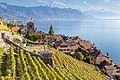 * Nomination St-Saphorin (Lavaux) --JoachimKohler-HB 05:36, 8 March 2024 (UTC) * Promotion Good quality --Llez 06:12, 8 March 2024 (UTC)