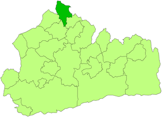 <span class="mw-page-title-main">Staines Urban District</span> Former local government district in England