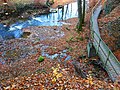 Mündung im November