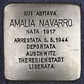Amalia Navarro