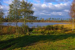 Stora Eketången i oktober 2014.