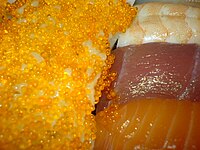 Sushi, detail