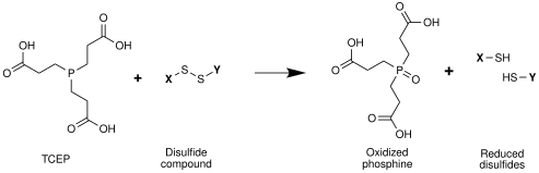 TCEP reaction reducing a disulfide bond.svg