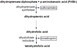 <span class="mw-page-title-main">Dihydrofolate reductase inhibitor</span> Cellular enzyme inhibitor