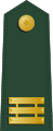 上尉 (Shàngwèi) Taiwanese army