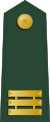 Taiwan-army-OF-2.svg