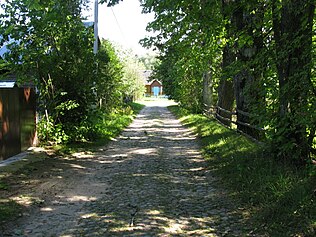 The street in the village of Mikhnichi, 2012.jpg