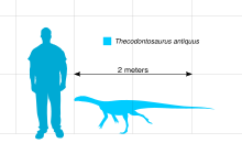 Size comparison Thecodontosaurus Scale.svg