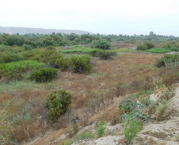 File:Tijuana river valley sdcounty.jpg