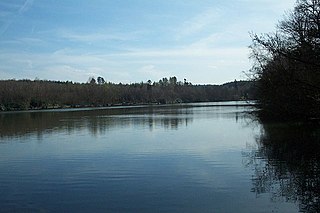 <span class="mw-page-title-main">Tilgate Lake</span> Lake in West Sussex, England