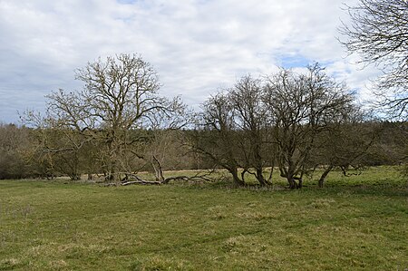 Tingewick Meadows 10