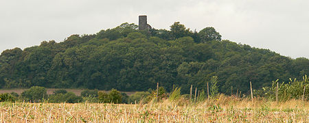 Tomburg Berg 2008