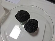 180px-Truffes_de_Bourgogne_-_Tuber_uncin