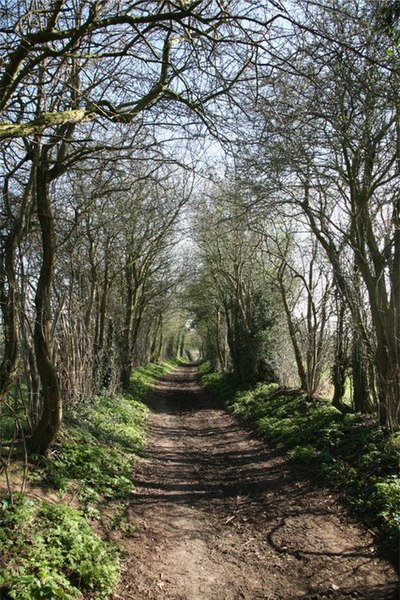 File:Tunstall Lane - geograph.org.uk - 388207.jpg