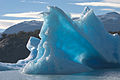 Tèmpanos (iceberg) Lago Argentino Brazo Norte Patagonia Argentina Luca Galuzzi 2005.JPG