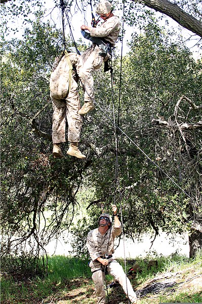 File:U.S. Marine Corps Helicopter Ropes Suspension Training masters, 1st Battalion, 4th Marine Regiment, 1st Marine Division, help rescue a simulated downed pilot during Tactical Rescue of Aircraft Personnel (TRAP) 130321-M-BZ222-002.jpg