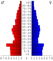 Bevolkingspiramide Fremont County