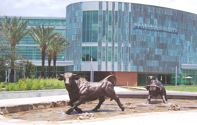 File:USF Marshall Center Running of the Bulls.JPG