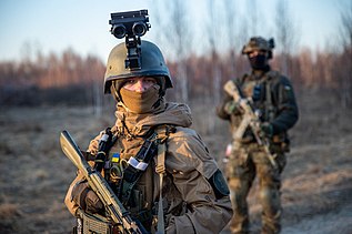 Ukrainian National Guard 2022.jpg