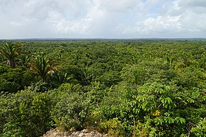 Без име Роуд, Белиз - panoramio.jpg