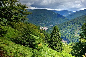 Utzenfeld Todtnau Nature Reserve Utzenfluh Image 16.jpg