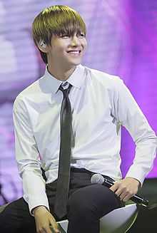 V (entertainer) - Wikipedia