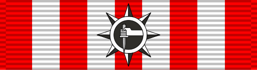 File:Vietnam Special Service Medal ribbon.svg