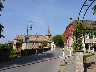 <span class="mw-page-title-main">Allaman</span> Municipality in Vaud, Switzerland