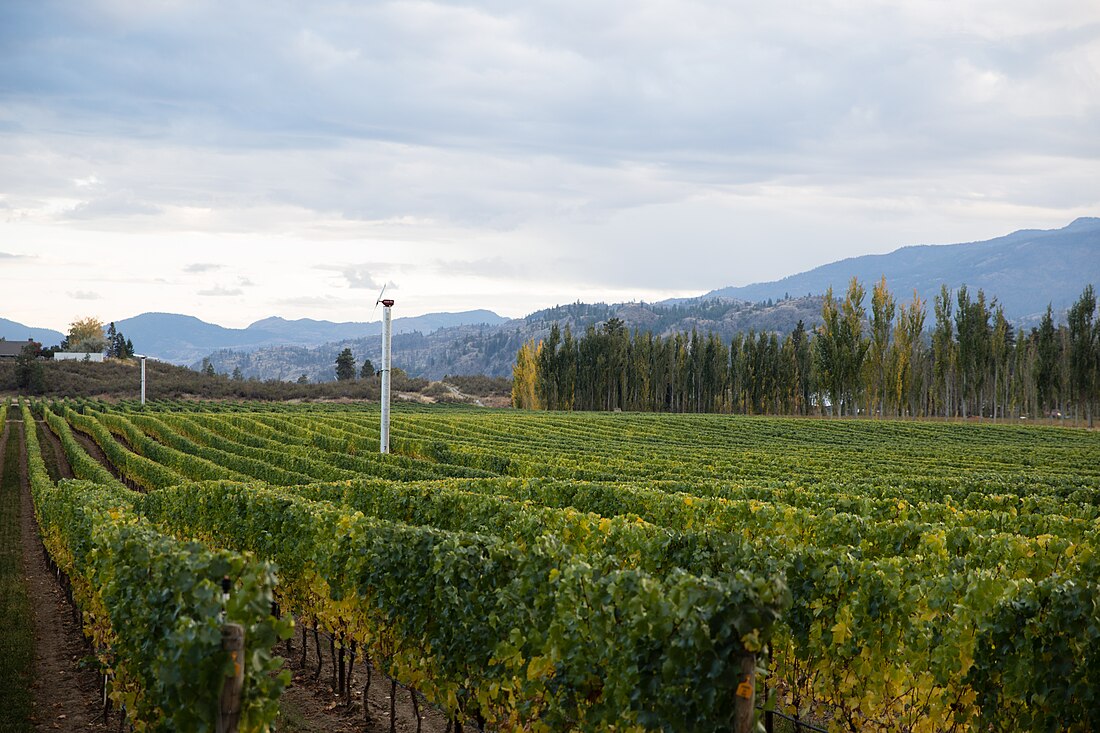 Okanagan Valley (wine region)