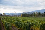 Thumbnail for Okanagan Valley (wine region)