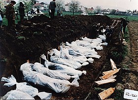 보스니아 전쟁: 연표, 배경, 세력