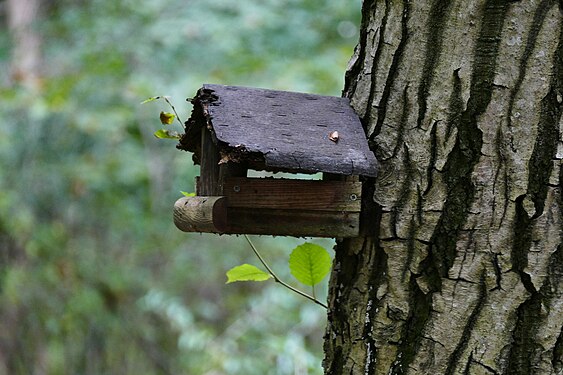 im Nymphenburg Park in München hängt das Vogelhäusle mit dem armseligen Dach