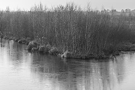 Wandelingen door de laagveenmoerassen De Deelen 052.jpg