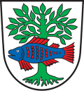 Emblem of Bad Buchau Wappen Bad Buchau.svg