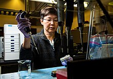 A biologist is preparing an RNA sample to understand how brown rot fungi degrades wood. Web Size-BrownRot-28.jpg