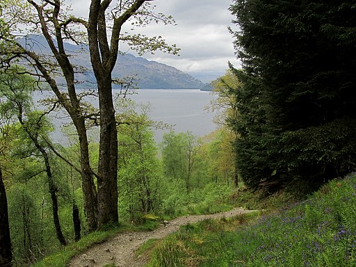 West Highland Way at Cnap Mor - geograph.org.uk - 3997349