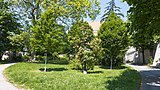 Vienna 13 Dechant-Kinzl-Park f.jpg