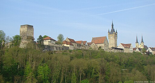 Wimpfen burgviertel panoram