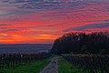 Winnica Srebrna Góra w Krakowie po zachodzie słońca, 20221111 1617 1840.jpg