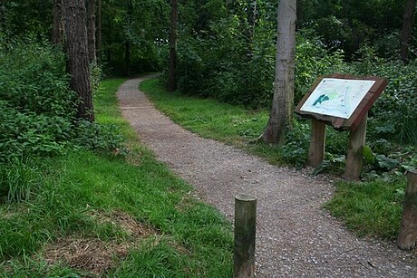 Great Breach and Copley Woods