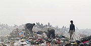 Thumbnail for Ghazipur landfill