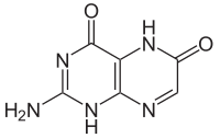 Struktur von Xanthopterin