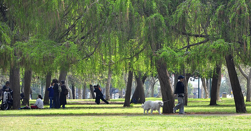 File:Yarkon park wide view.jpg