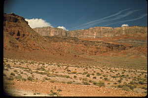 Zion National Park ZION4523.jpg