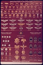 Thumbnail for United States Army enlisted rank insignia of World War II