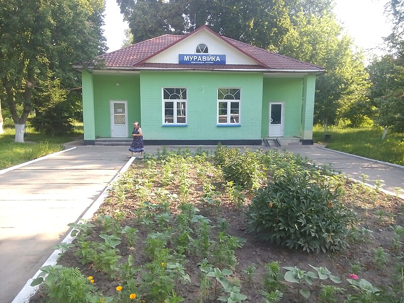 File:Вершинова МуравійкаIMG 20160627 084451.jpg