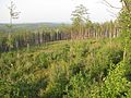 Вид со скал Гронского (Look from Petrogrom Rock) - panoramio.jpg